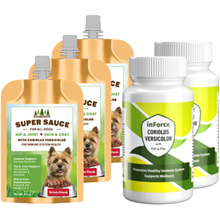 Power Shield SmartShip Pack for Dogs